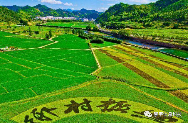 攀宇科技丨铭记历史，开创未来——纪念抗日战争胜利76周年(图22)