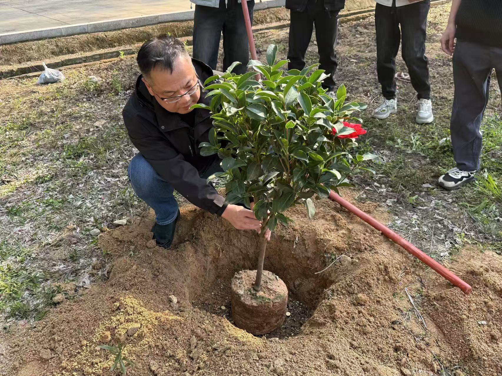 攀宇科技｜2026年“绿意绵延·同心同行”为主题的植树节护绿行动温情启幕(图20)