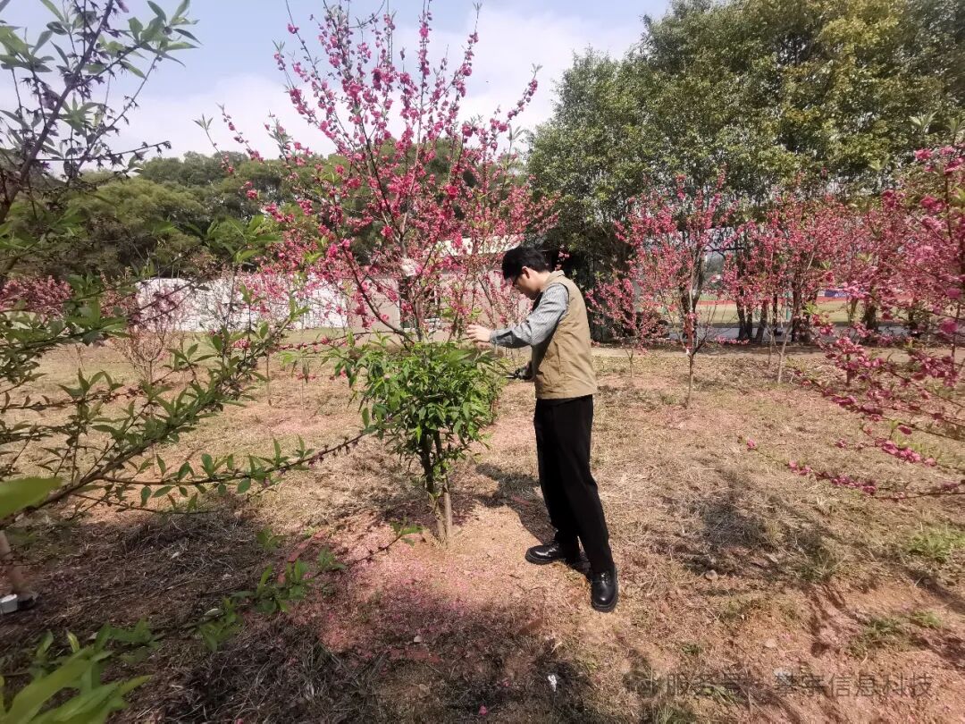 绿动未来·共植希望 | 福建攀宇(宇拓)科技2025年植树造林活动圆满落幕(图31)