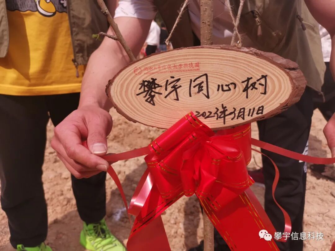 攀家同心树 | 共“植”一抹绿 ,一起“森”呼吸(图25) 攀家同心树 | 共“植”一抹绿 ,一起“森”呼吸(图25)